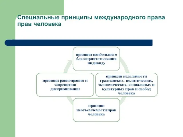 Специальные принципы международного права прав человека