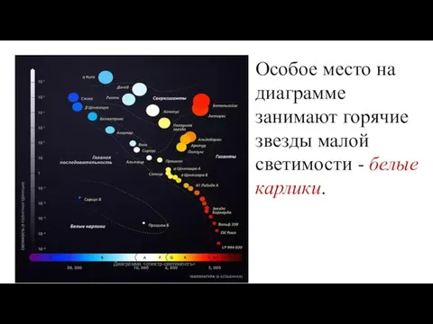 Особое место на диаграмме занимают горячие звезды малой светимости - белые карлики. Диаграмма «спектр-светимость»