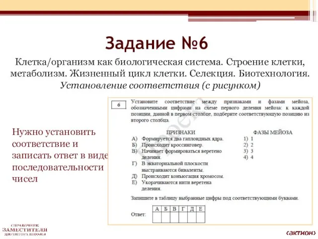 Задание №6 Клетка/организм как биологическая система. Строение клетки, метаболизм. Жизненный цикл