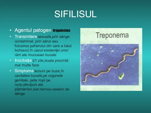 SIFILISUL Agentul patogen: treponema Transmitere:sexuală,prin sânge contaminat, prin sărut sau folosirea