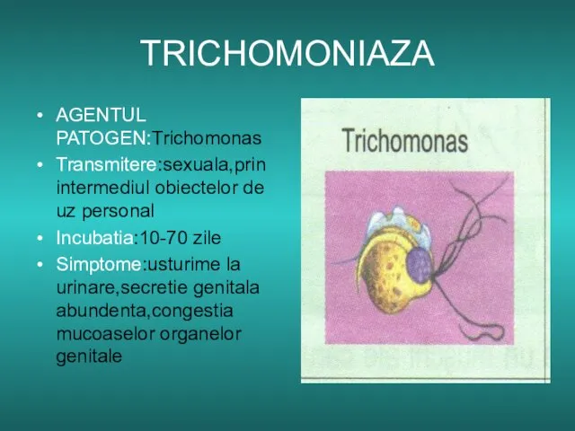 TRICHOMONIAZA AGENTUL PATOGEN:Trichomonas Transmitere:sexuala,prin intermediul obiectelor de uz personal Incubatia:10-70 zile