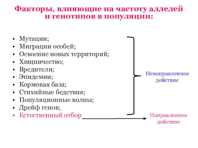 Факторы, влияющие на частоту аллелей и генотипов в популяции: Мутации; Миграции