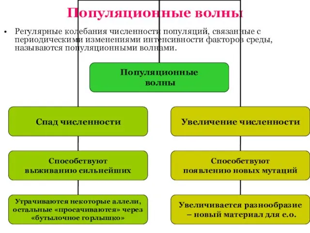 Популяционные волны Регулярные колебания численности популяций, связанные с периодическими изменениями интенсивности факторов среды, называются популяционными волнами.