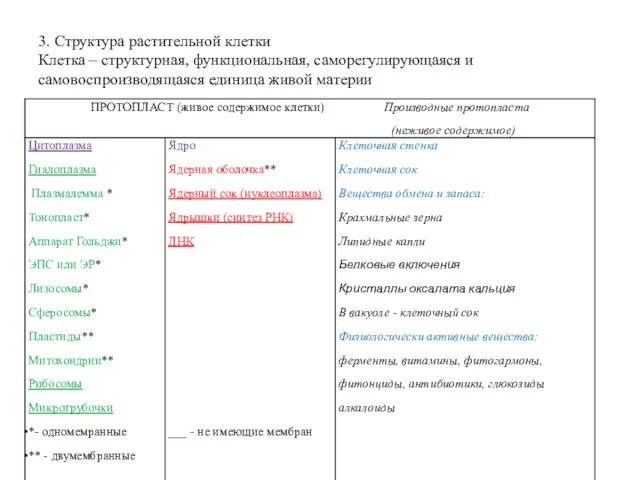 3. Структура растительной клетки Клетка – структурная, функциональная, саморегулирующаяся и самовоспроизводящаяся единица живой материи