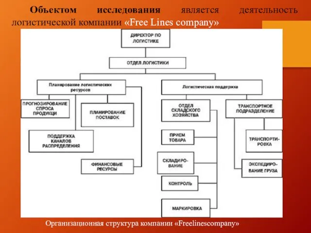 Объектом исследования является деятельность логистической компании «Free Lines company» Организационная структура компании «Freelinescompany»