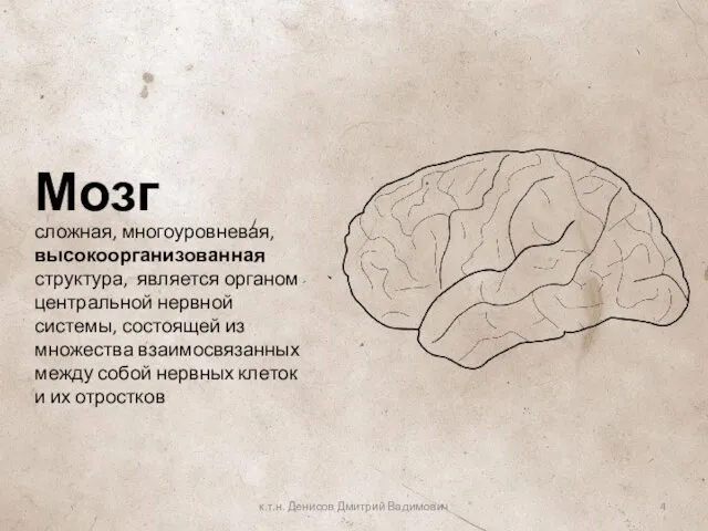 Мозг к.т.н. Денисов Дмитрий Вадимович сложная, многоуровневая, высокоорганизованная структура, является органом