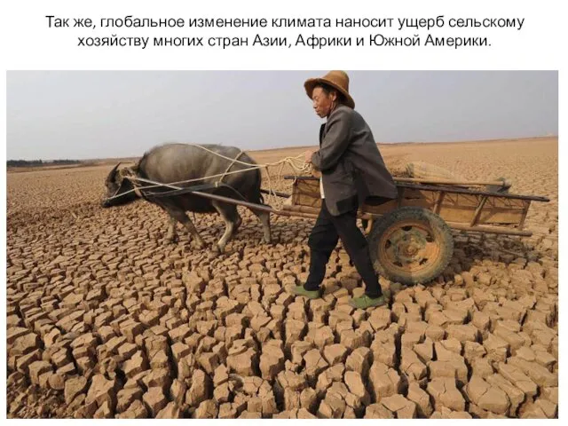 Так же, глобальное изменение климата наносит ущерб сельскому хозяйству многих стран Азии, Африки и Южной Америки.