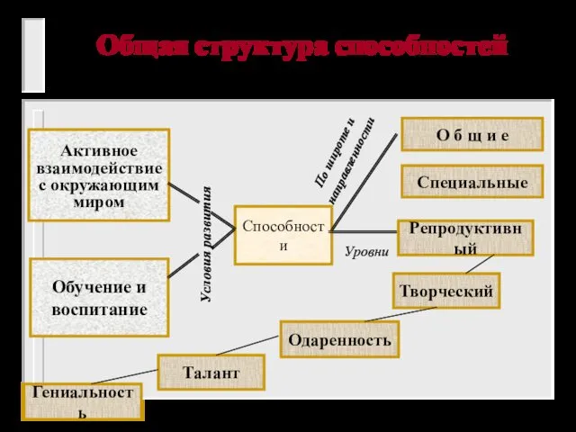 Общая структура способностей Способности О б щ и е Творческий Специальные