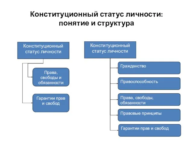 Конституционный статус личности: понятие и структура