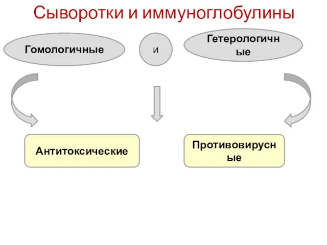 Сыворотки и иммуноглобулины Гетерологичные Гомологичные и Антитоксические Противовирусные