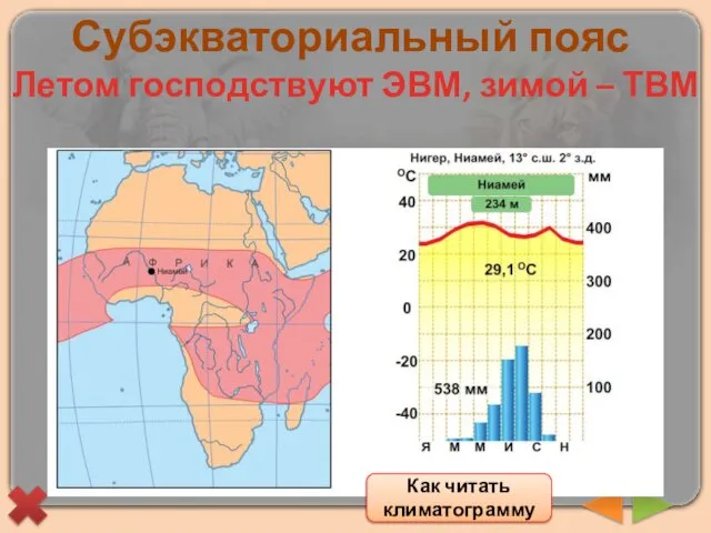 Субэкваториальный пояс Летом господствуют ЭВМ, зимой – ТВМ Как читать климатограмму