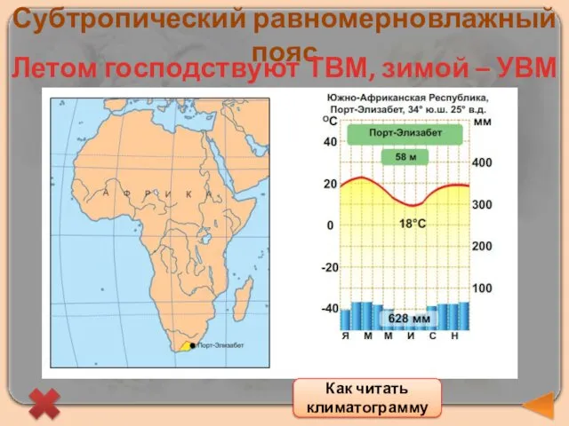 Субтропический равномерновлажный пояс Летом господствуют ТВМ, зимой – УВМ Как читать климатограмму