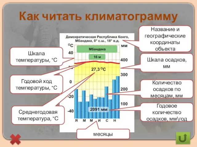 Как читать климатограмму Название и географические координаты объекта Шкала осадков, мм