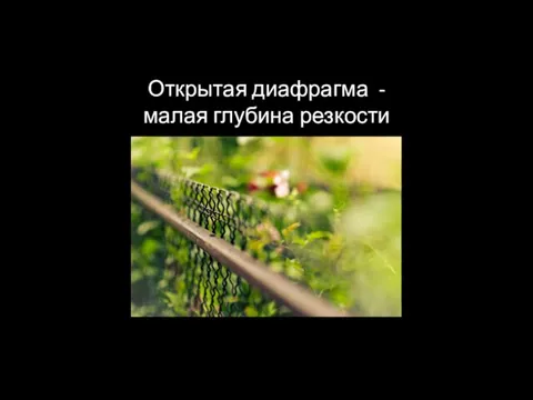 Открытая диафрагма - малая глубина резкости