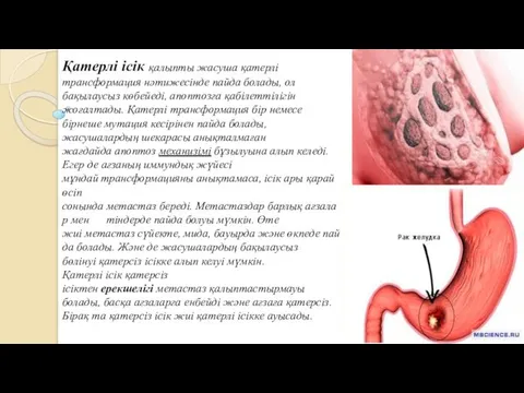 Қатерлі ісік қалыпты жасуша қатерлі трансформация нәтижесінде пайда болады, ол бақылаусыз