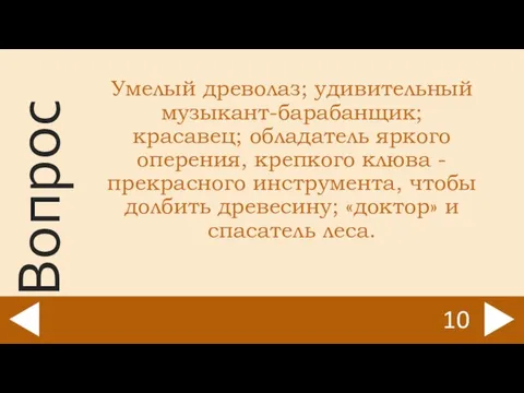 Умелый древолаз; удивительный музыкант-барабанщик; красавец; обладатель яркого оперения, крепкого клюва -