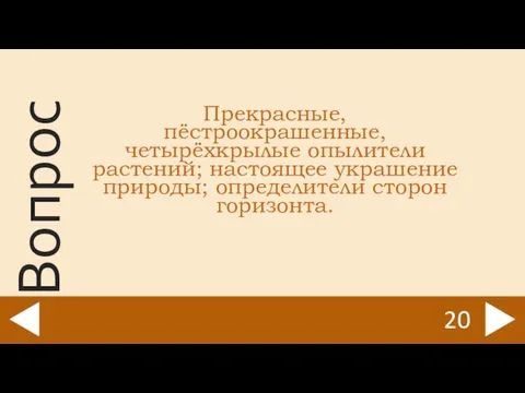 Прекрасные, пёстроокрашенные, четырёхкрылые опылители растений; настоящее украшение природы; определители сторон горизонта. 20