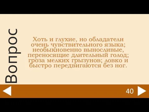 Хоть и глухие, но обладатели очень чувствительного языка; необыкновенно выносливые, переносящие