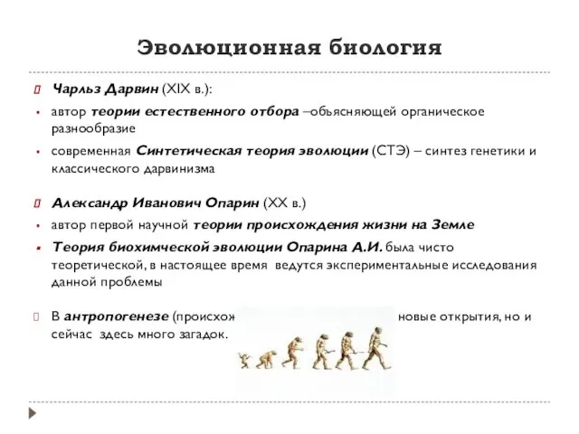 Эволюционная биология Чарльз Дарвин (XIX в.): автор теории естественного отбора –объясняющей