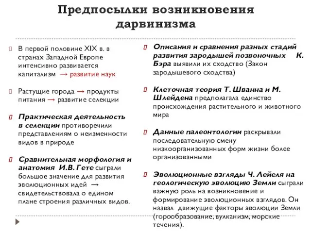 Предпосылки возникновения дарвинизма В первой половине XIX в. в странах Западной