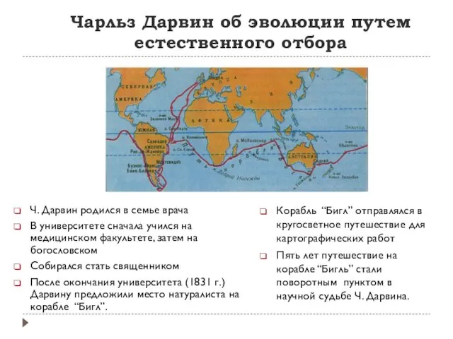 Чарльз Дарвин об эволюции путем естественного отбора Ч. Дарвин родился в