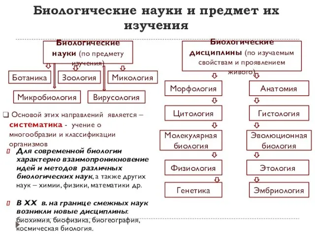 Биологические науки и предмет их изучения Для современной биологии характерно взаимопроникновение