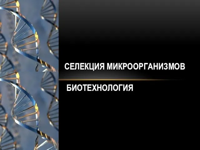 Селекция микроорганизмов. Биотехнология