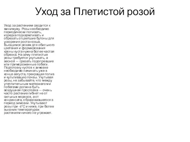 Уход за Плетистой розой Уход за растением сводится к минимуму. Розы