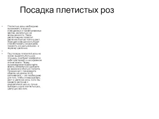 Посадка плетистых роз Плетистые розы необходимо высаживать в хорошо освещаемых и