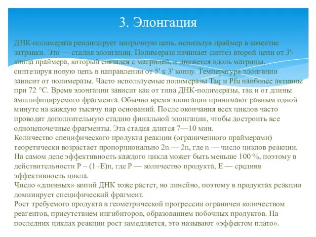 3. Элонгация ДНК-полимераза реплицирует матричную цепь, используя праймер в качестве затравки.