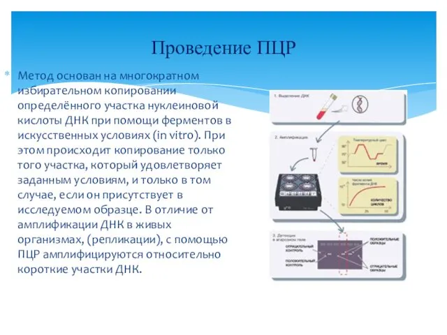 Метод основан на многократном избирательном копировании определённого участка нуклеиновой кислоты ДНК