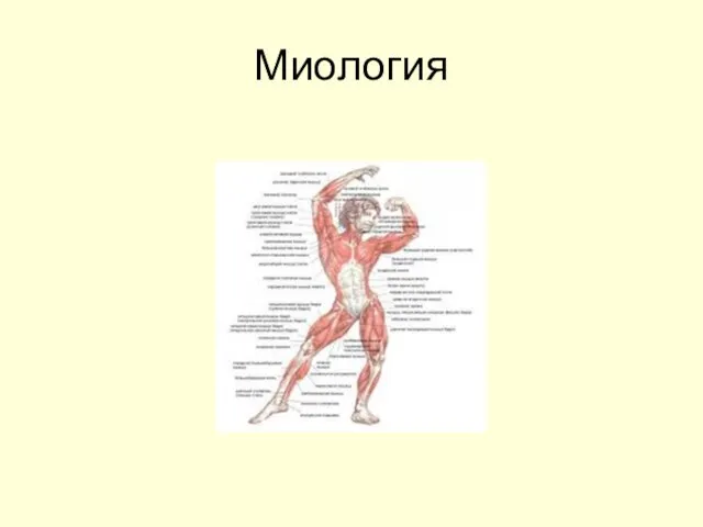 Миология