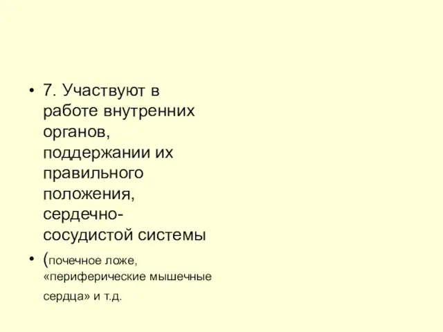 7. Участвуют в работе внутренних органов, поддержании их правильного положения, сердечно-