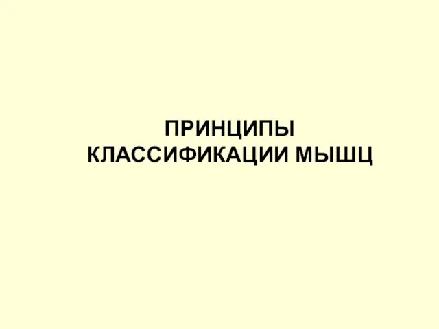 ПРИНЦИПЫ КЛАССИФИКАЦИИ МЫШЦ