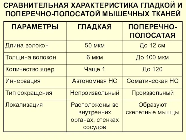 СРАВНИТЕЛЬНАЯ ХАРАКТЕРИСТИКА ГЛАДКОЙ И ПОПЕРЕЧНО-ПОЛОСАТОЙ МЫШЕЧНЫХ ТКАНЕЙ