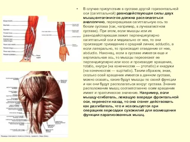 В случае присутствия в суставе другой горизонтальной оси (сагиттальной) равнодействующая силы