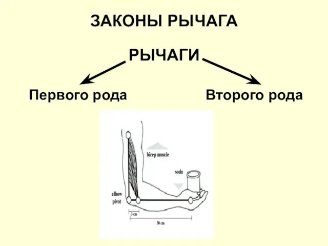 РЫЧАГИ ЗАКОНЫ РЫЧАГА Первого рода Второго рода