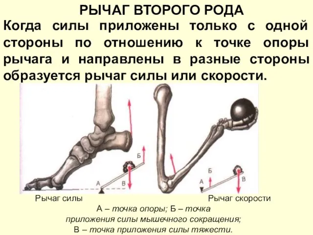 Когда силы приложены только с одной стороны по отношению к точке