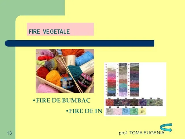 prof. TOMA EUGENIA FIRE VEGETALE FIRE DE BUMBAC FIRE DE IN