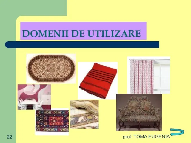 prof. TOMA EUGENIA DOMENII DE UTILIZARE