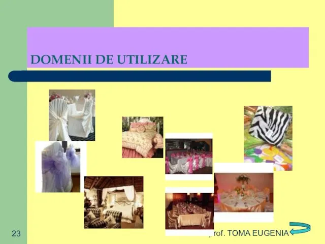 prof. TOMA EUGENIA DOMENII DE UTILIZARE