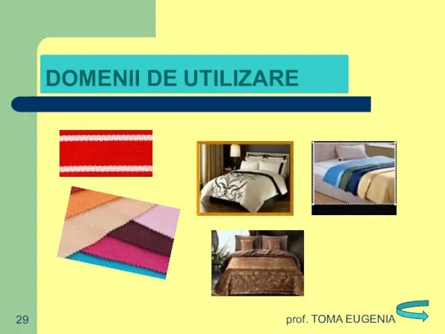 prof. TOMA EUGENIA DOMENII DE UTILIZARE