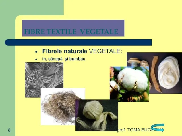 prof. TOMA EUGENIA FIBRE TEXTILE VEGETALE Fibrele naturale VEGETALE: in, cânepă şi bumbac