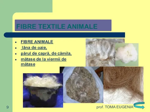 prof. TOMA EUGENIA FIBRE TEXTILE ANIMALE FIBRE ANIMALE lâna de oaie,