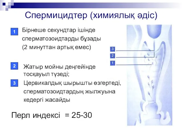 Спермицидтер (химиялық әдіс) Перл индексі = 25-30 1 2 3 Бірнеше