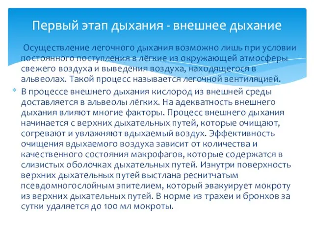 Осуществление легочного дыхания возможно лишь при условии постоянного поступления в лёгкие