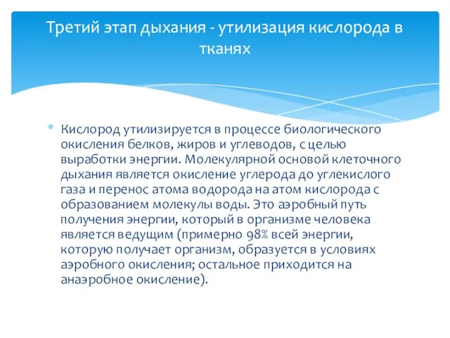 Кислород утилизируется в процессе биологического окисления белков, жиров и углеводов, с