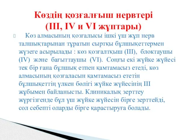 Көз алмасының қозғалысы ішкі үш жұп нерв талшықтарынан тұратын сыртқы бұлшықеттермен