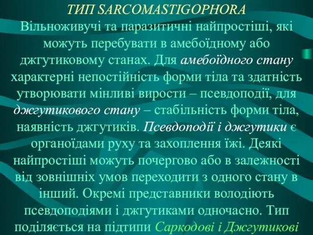 ТИП SARCOMASTIGOPHORA Вільноживучі та паразитичні найпростіші, які можуть перебувати в амебоїдному