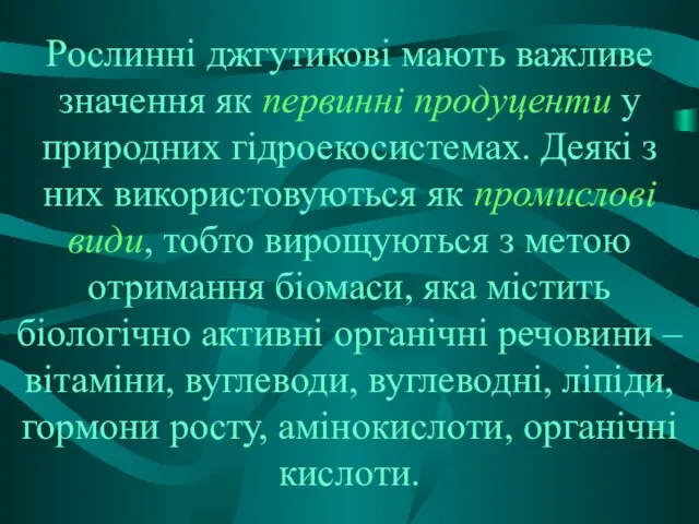 Рослинні джгутикові мають важливе значення як первинні продуценти у природних гідроекосистемах.